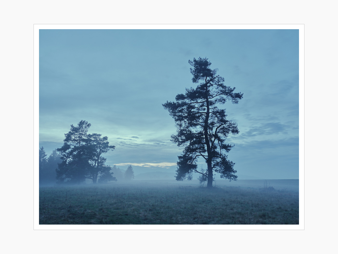 Max Schiefele Alle Bilder PRINT DSF3294